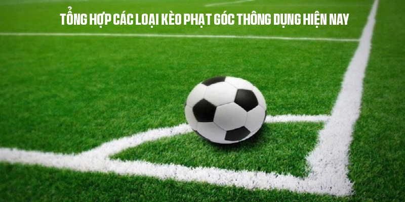 Khái quát về các hình thức cược phạt góc tại Kuwin