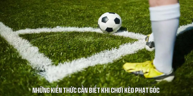 Thông tin cơ bản cần nắm khi chơi kèo phạt góc