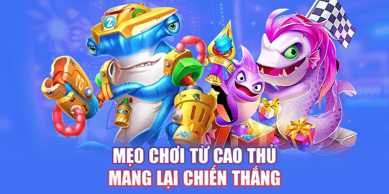 Mẹo chơi từ cao thủ mang lại chiến thắng